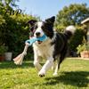 Bite Resistant Dog Toy Molar Chewing with Rope, TPR Spoon Head Durable Woven Puppy Teething Relief Tools Knot Training Toy, Macaron Colors Teeth