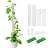 Plant Trellis Supporting Stick Plastic Moss Rod Indoor Plant Pot Stand Green Dill Vine Garden Supporting Accessories
