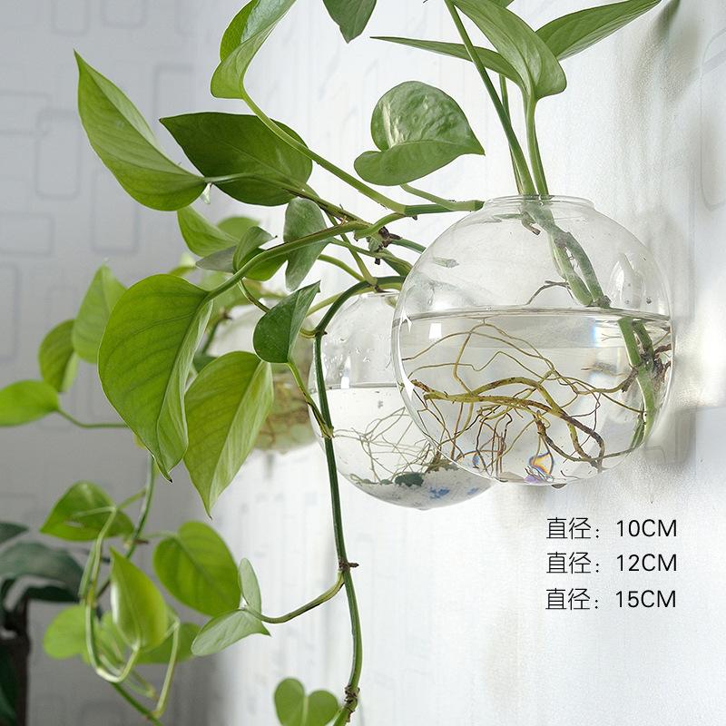 

Creative Hydroponic Glass Vase Hanging Transparent Flowerpot One Size белый