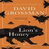 Lions Honey by David Grossman Paperback Book 9781786893383