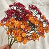 Artificial Baby's Breath Flower Mixed Fake Wildflower Gypsophila Bouquet for Wedding Floral Arrangement Party Home