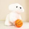 [Haustier] Quietschspielzeug zum Ballspielen