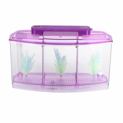Aquarium Aquarium LED Acryl Drei Divisionen Zucht Isolation Box für kleine Fische(lila)