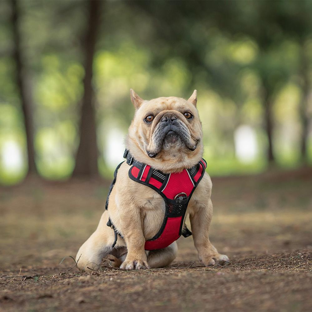 Chest Strap Vest Type Corgi Medium Golden Retriever Large Dog Walking Dog Chest Back Pet Dog Free Pullover