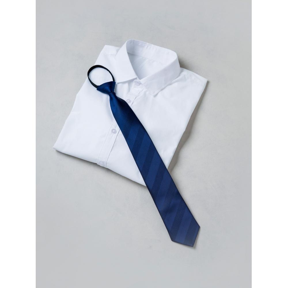 Daiso Zipper Type Oblique Pattern Tie Navy