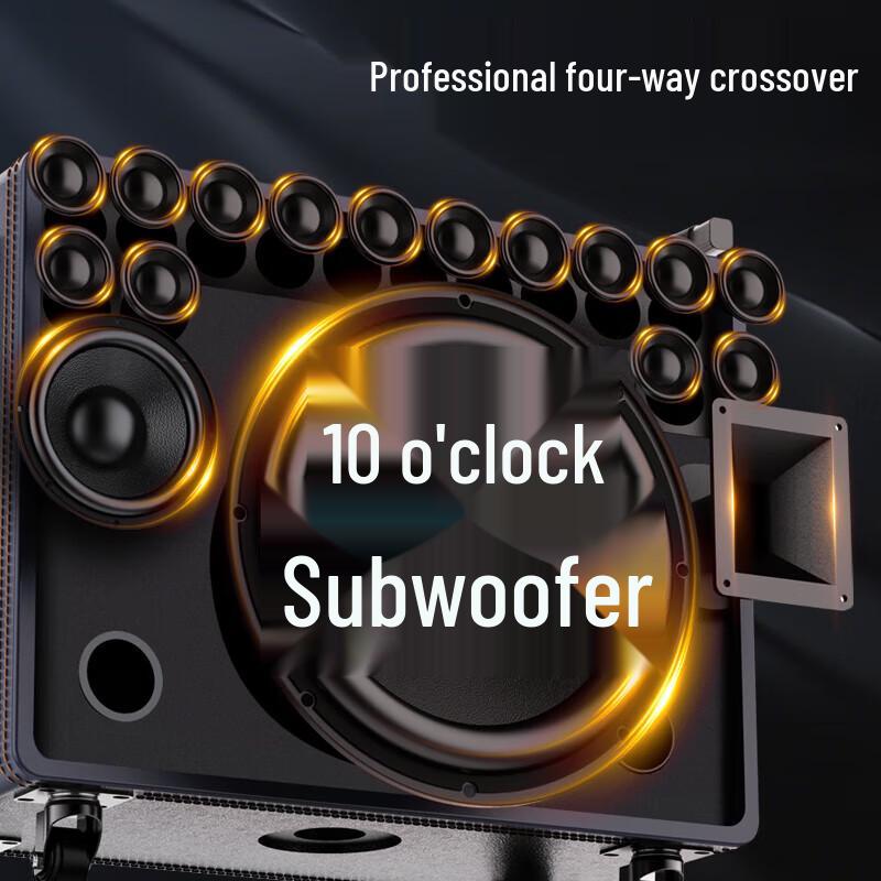 Shanshui Singer Q109 Portable KTV Speaker with Display