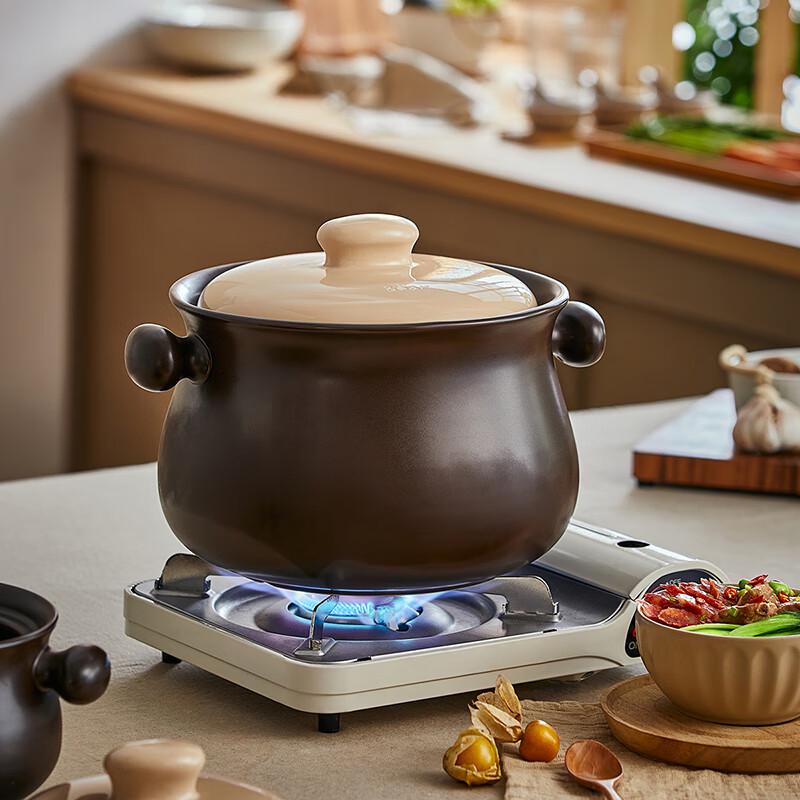 Bear Multi-function Ceramic Stew Pot