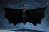 TAMASHII NATIONS S.H.Figuarts Batman (The Flash) a