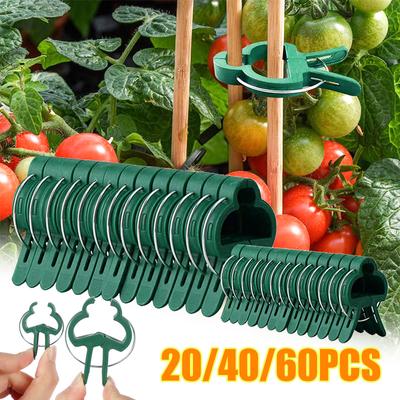 20/40/60Pcs Pfropfen Clips Gewächshaus Clamp Ständer Kunststoff Pflanze Clip Verschluss Halterung Feste Samen Stamm Unterstützung anlage Pfropfen