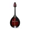 Gitarlar, Kitara ve Mandolinler – Gitarlar