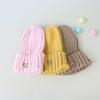 Cozy Autumn/Winter Crochet Baby Beanie with Embroidered Bear