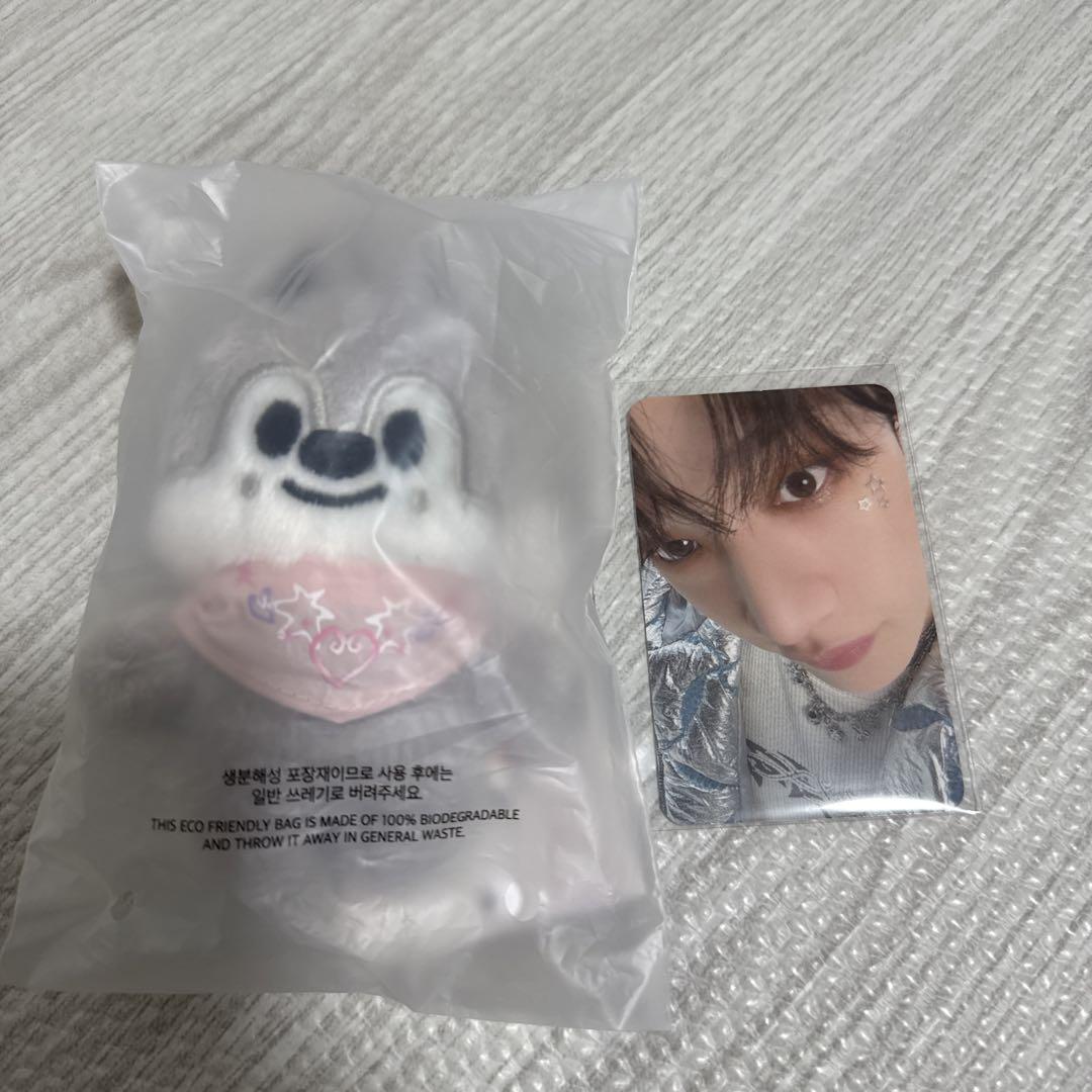 

[USED] straykids SKZOO 10cm Plush Toy Wolfchan and Bangchan