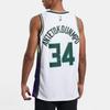 New Nike Nba Milwaukee Bucks City Edition Giannis Antetokounmpo 34 Dri FIT Swingman Jersey DB4035-100