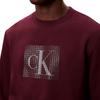 Calvin Klein Comfortable Versatile Layered Letter Pattern Fashion Sweatshirt Men sweatshirt 4RE270G-XV6