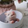 Xmas Gift Toy Bed/Sofa Reborn Baby Pig Model Suitable for Newborn Babies
