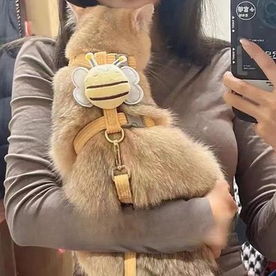Outdoor Traction Rope for Cats To Prevent Slipping Out Chest Strap Vest Style Rabbit Walking Cat Chain Dog Rope Small Dog