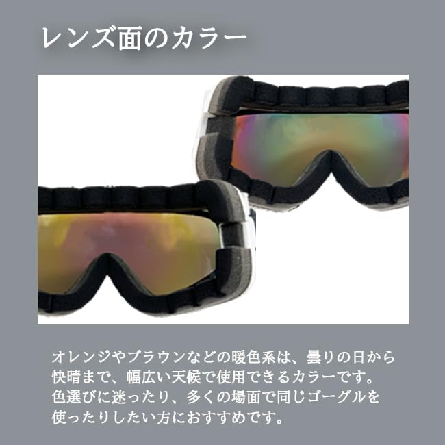 Snow Goggles [Rare] RH423-2 MBK/GRN