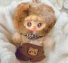 Little Bear Hibernation Plan Plush Mascot  3-type Eye Plate Structure, Gently Move To Change Expression, Fluffy Winter Design, Perfect for