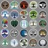 Life Tree Graffiti Stickers: 50 Creative Totem Designs for Journals, Phone Cases, Suitcases