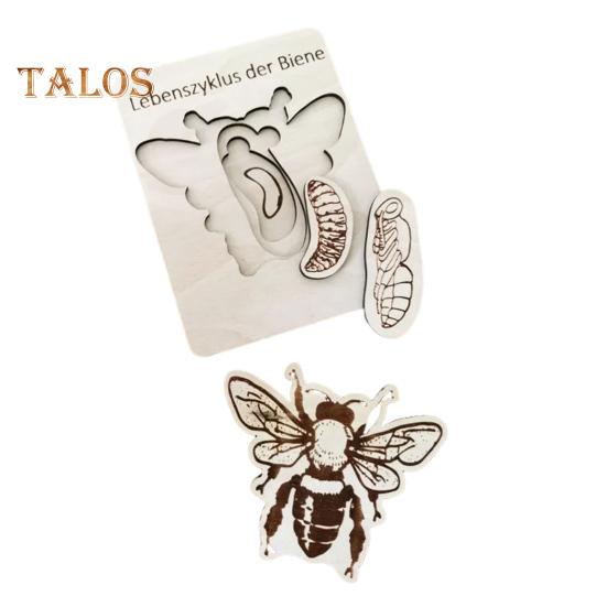 Holzpuzzle Lebenszyklus, mehrschichtiges Tier-Insekten-Pflanzenwachstums-Puzzle, Vorschul-Lernpuzzle, Spielzeug für Kinder, Jungen und Mädchen