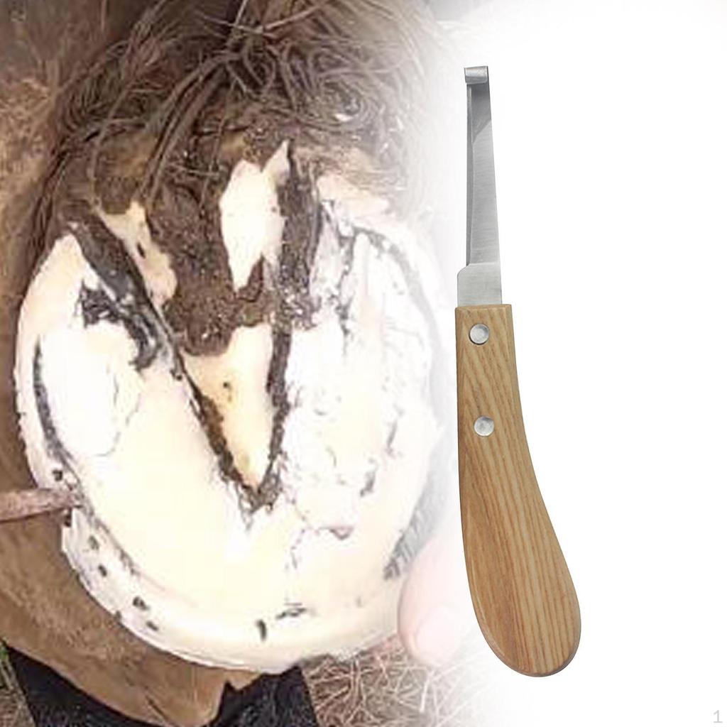Nůž na koňská kopyta Pohodlná rukojeť Podkovář pro podkováře Hospodářská zvířata Krávy pravá ruka