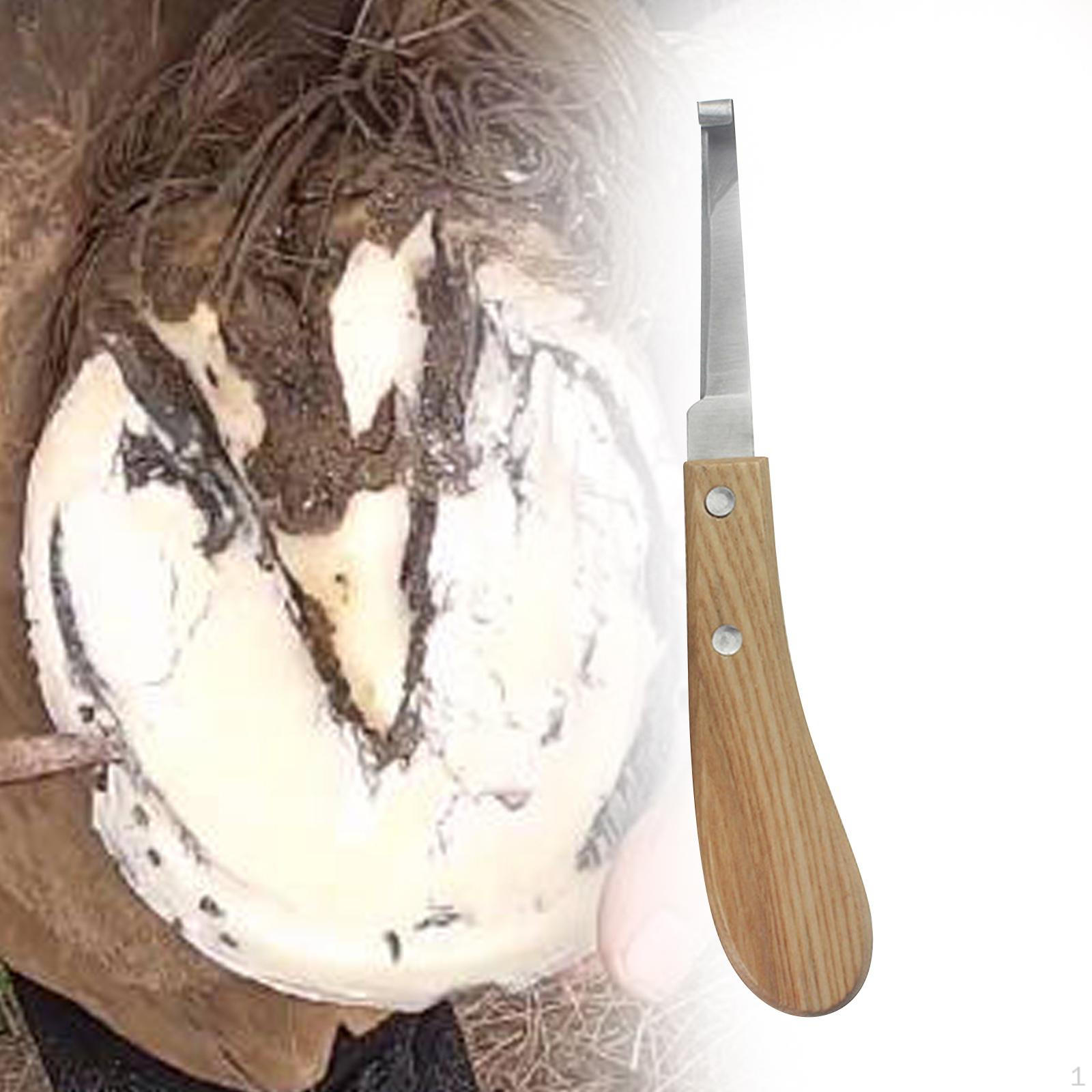 

Ніж для копит для коня. Зручна рукоятка. Коваль для худоби. Корови. Права рука