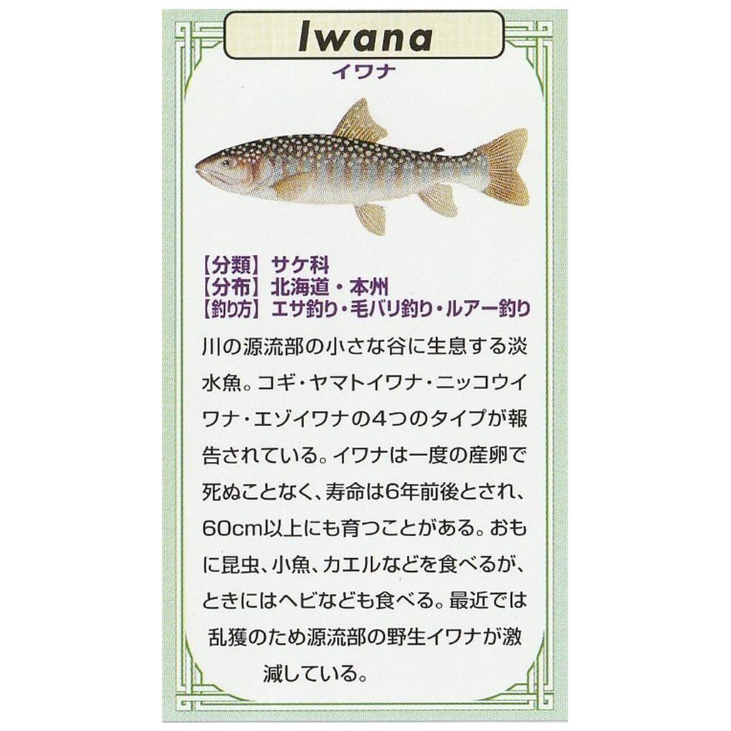 KAJIKAWA Vintage FISH PINS Pin Badge Freshwater Fish Iwana