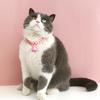 Dog Necklace Bell Pendant Colored Plastic Chain Cat Collar Pet Neck Wear Chain Birthday Accessories