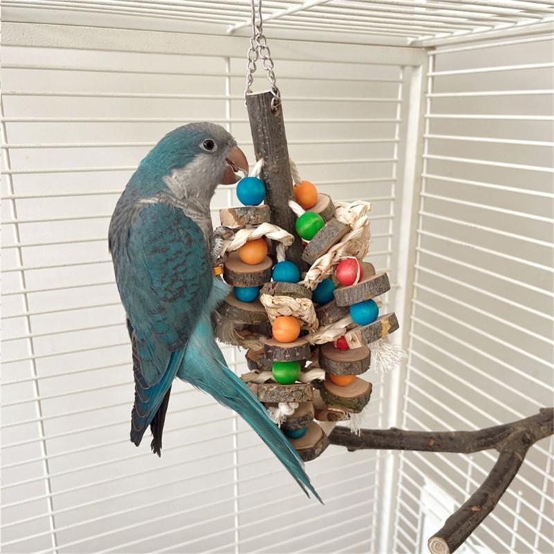 Interaktives Vogel-Molarenspielzeug hilft, einen gesunden Schnabel zu erhalten und bietet ausgedehnten Spaß. Sichere Materialien, perfekt für Papageienvögel.