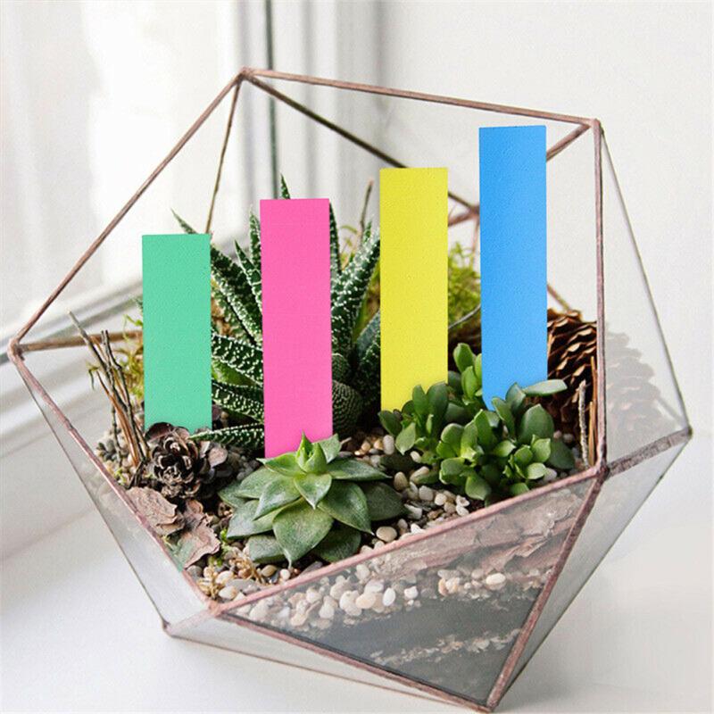 Cheap 100pcs Plant Tag Garden Label Plastic Hanging Waterproof Tagging