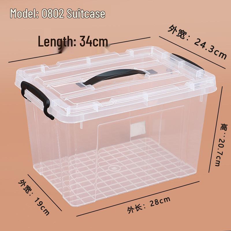 Large Transparent Handheld Food-Grade Storage Box