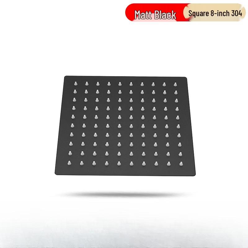 Stainless Steel Shower Head