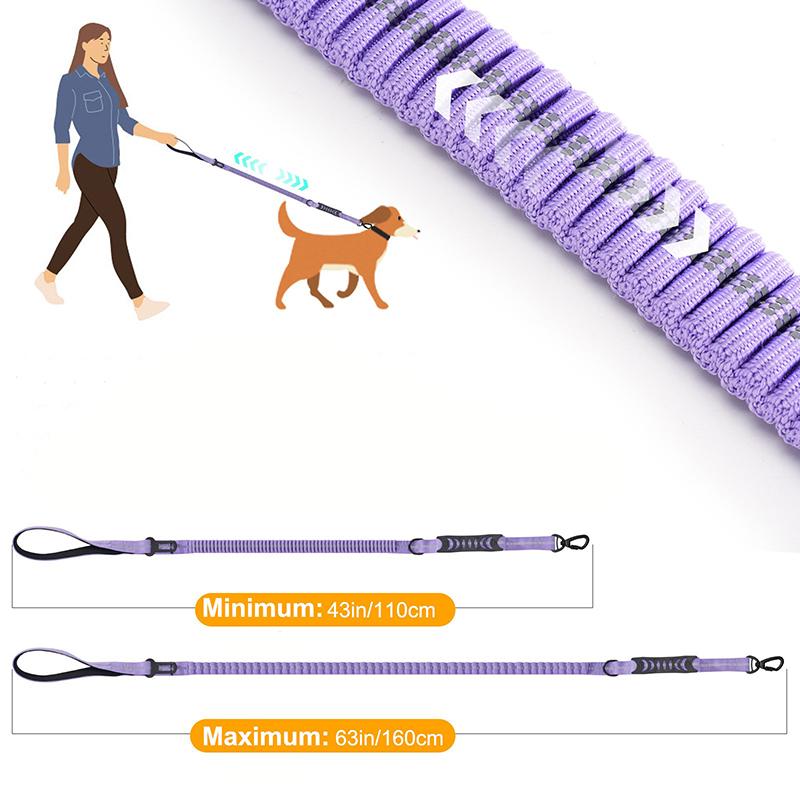 Elastic Buffer Reflective Dog Leash