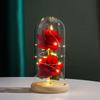 Eternal Red Rose Luxurious Gold Foil Flower LED Glass Dome Beautifully Packaged Forever For Home Decoration Anniversary Gift