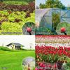 30m Automatic Drip Irrigation Kit with 4/7 Tubing for Outdoor Gardens