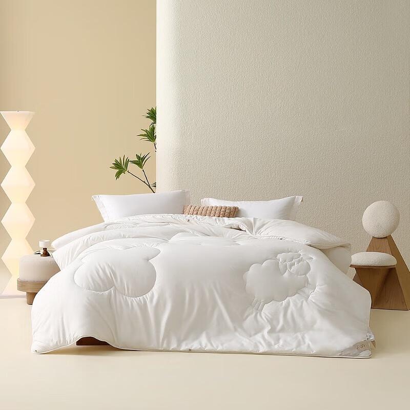 Mercury Home Textiles Antibacterial Four Seasons Wool Quilt