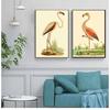 Vintage Bird Prints Flamingo Poster Wall Art Nature Animal Lover Gift Home Room Tropical Decoration Canvas Painting