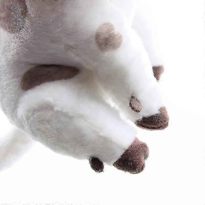 Cute Moana Plush Toy - Soft And Embroidered, 20cm - All Ages