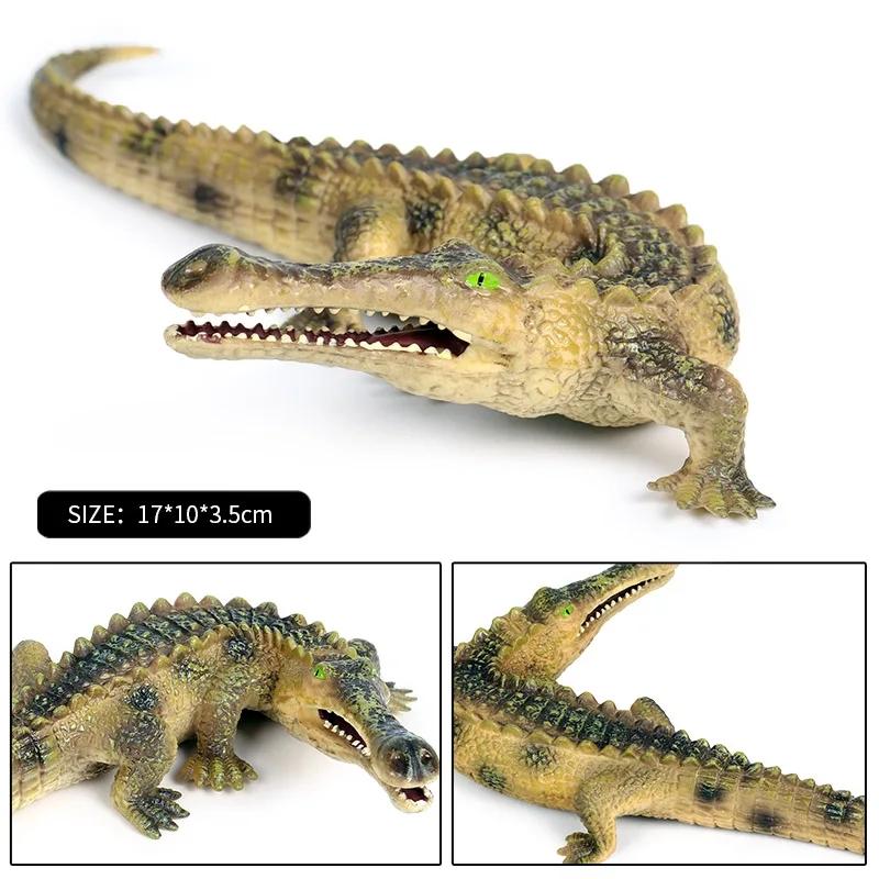 Oenux Prehistoryczny Biegun Południowy Koolasuchus Model Krokodyla Figurki Akcji Dzikie Zwierzęta Morskie PVC Kolekcja Edukacyjna Zabawka dla Dzieci