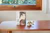 [Paper Craft] KAKUKAKU Ukiyo-e Goldfish by Toshusai Sharaku, Edobei of Otani Oniji III [InteriorMade in Japan]