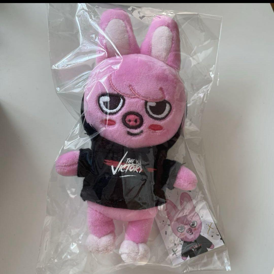 

[Б/У] Changbin SKZOO Toekki mini
