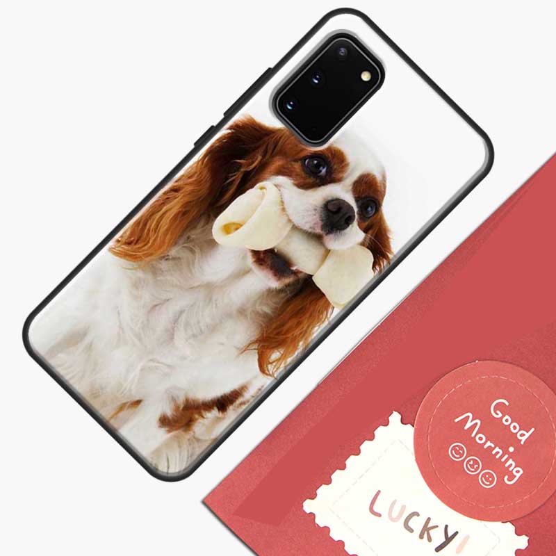 

Cavalier King Charles Spaniel Dog Phone Case For Samsung Galaxy S26 S25 Ultra S20 S21 S22 S23 S24 S10 Plus S25 FE Cover Shell Galaxy S10