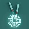Indoor Fitness Exercise LED Light Jump Rope Adjustable Jumping Rope for Kids Outdoor Skipping Rope Glowing Jump Ropes