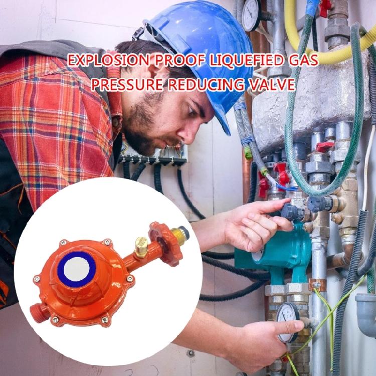 Explosions Proof Gas Regulator Metal Valves Low Pressure Valves Gas Regulator Metal Texture Suitable for Household Stove