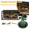 Reptile Breeding Box Detachable Reptile Landscaping Container Front Opening Plant Gecko Ecological Tank Snake Lizard Breeding
