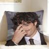Jacob E-Elordi Pillow Case  Print Pillow Cover Fashion Pillowcases For Living Room Bed Chair