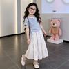 Zweiteiliges Sommerset für Mädchen: Kurzarm-Patchwork-Top & Rock Mode-Outfit
