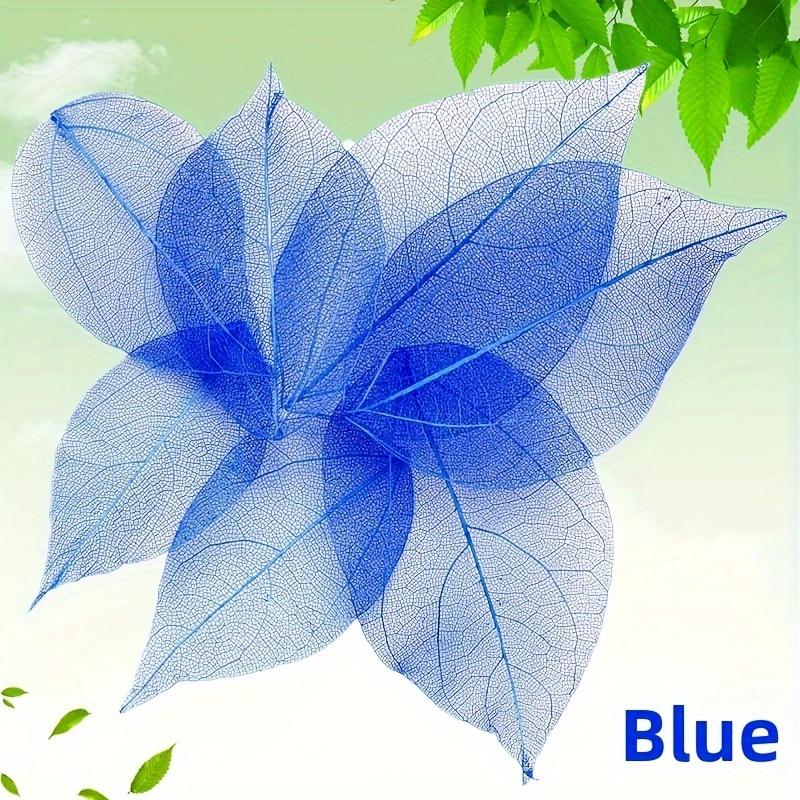 10pcs Colorful Diamond-Veined Pressed Flowers, Decorative Art Dried Flowers, DIY Handmade Materials For Making Accessories