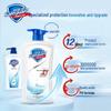 Safeguard Healthy Clean Duschgel