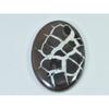 82Cts.Natural Septarian Gronates Oval Cabochon Loose Gemstone 31X45X05 MM D-557